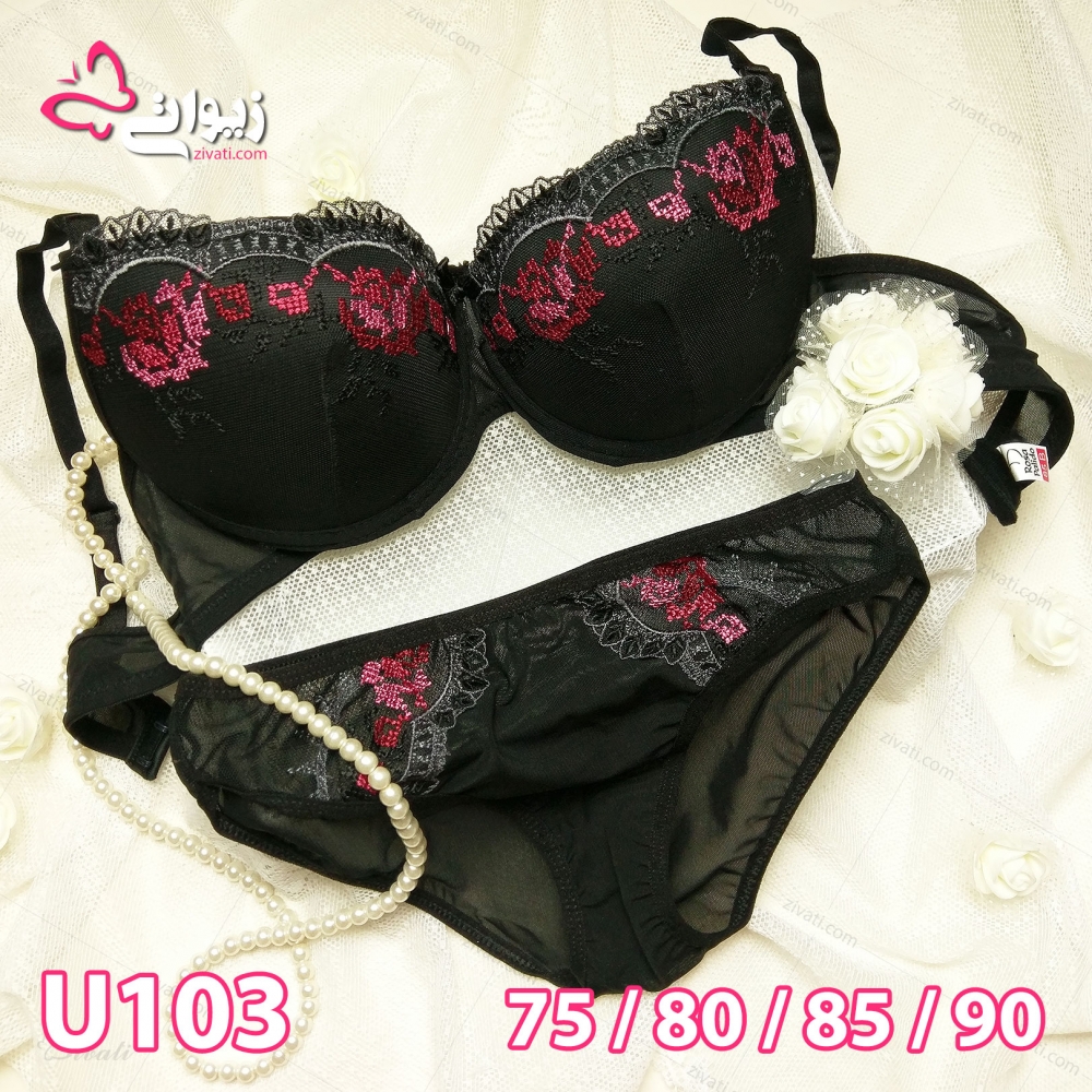 set-u103-2 set u103 2