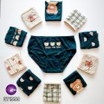 شورت تمام نخ طرح تدی سون کد 37199901 - تصویر 2